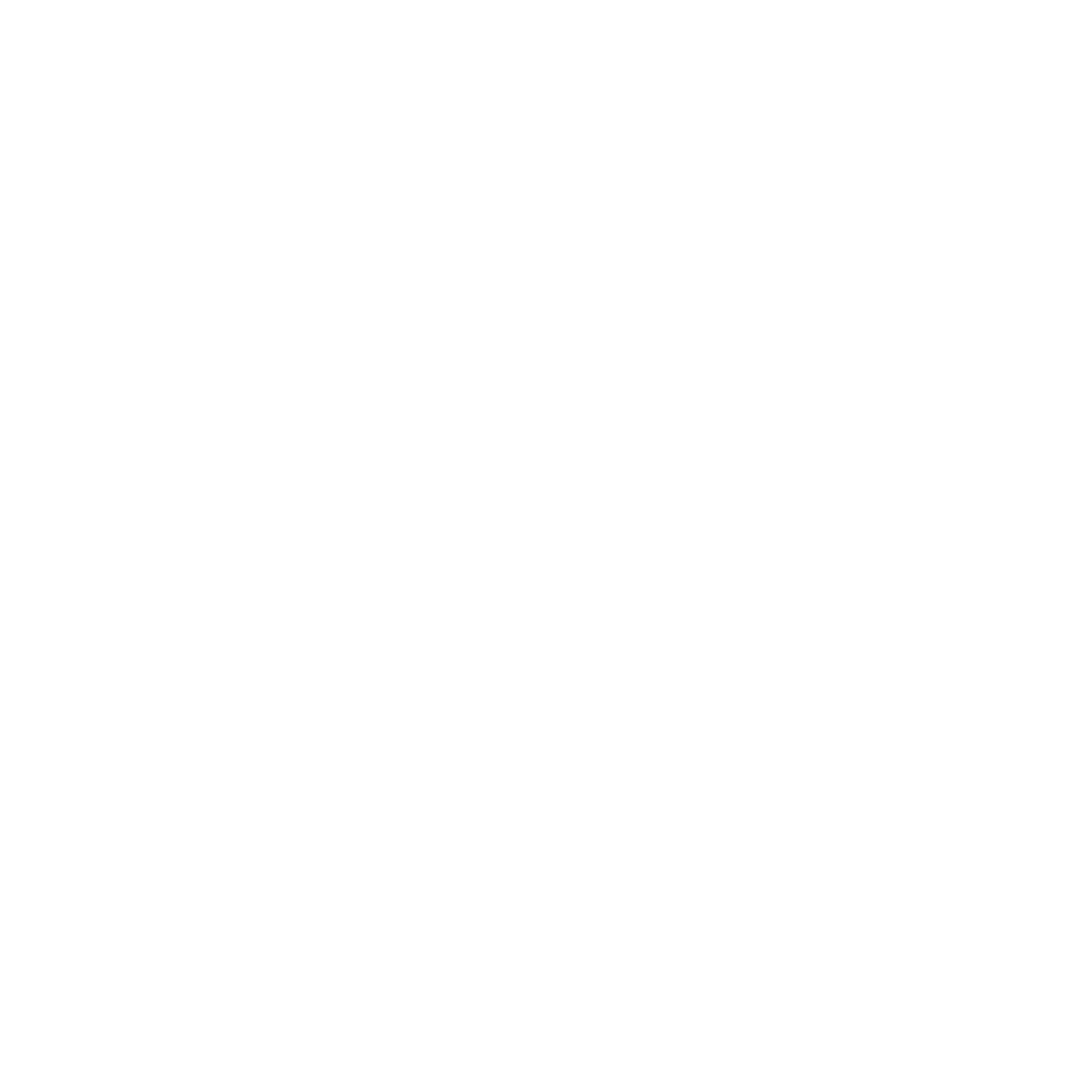Sierra Capital Original Logo