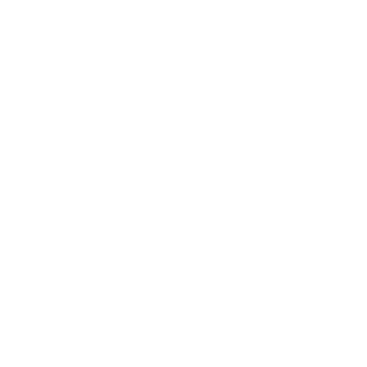 Sierra Capital International Logo Development - Iteration 1